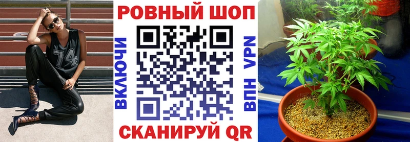  КОКАИН Сосновка