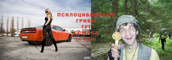ALPHA PVP Алзамай