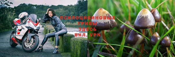 молекула духа Алексин